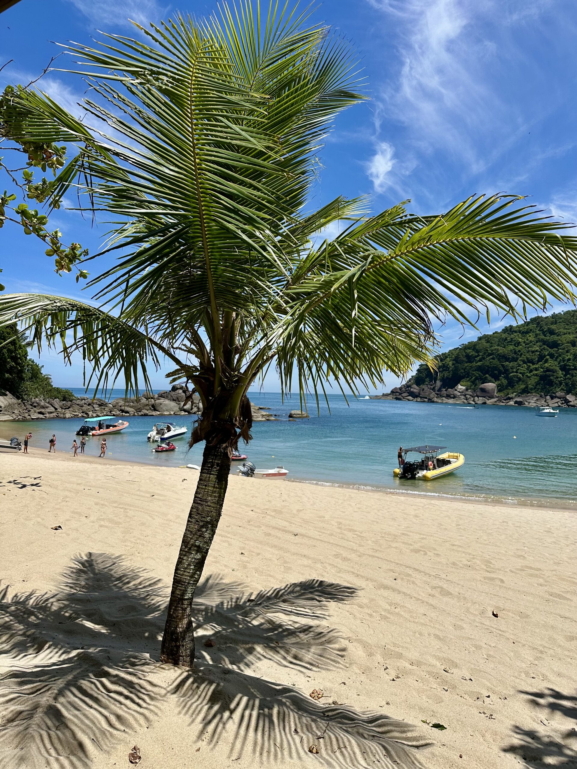 Coqueiro de tronco esguio em pé sobre areia clara, projetando sombra no chão, com enseada ao fundo onde barcos estão ancorados, mar calmo verde-azulado e céu azul com nuvens finas.